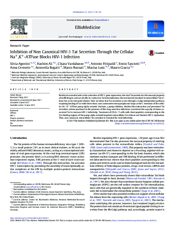 (PDF) Inhibition of Non Canonical HIV-1 Tat Secretion Through the ...