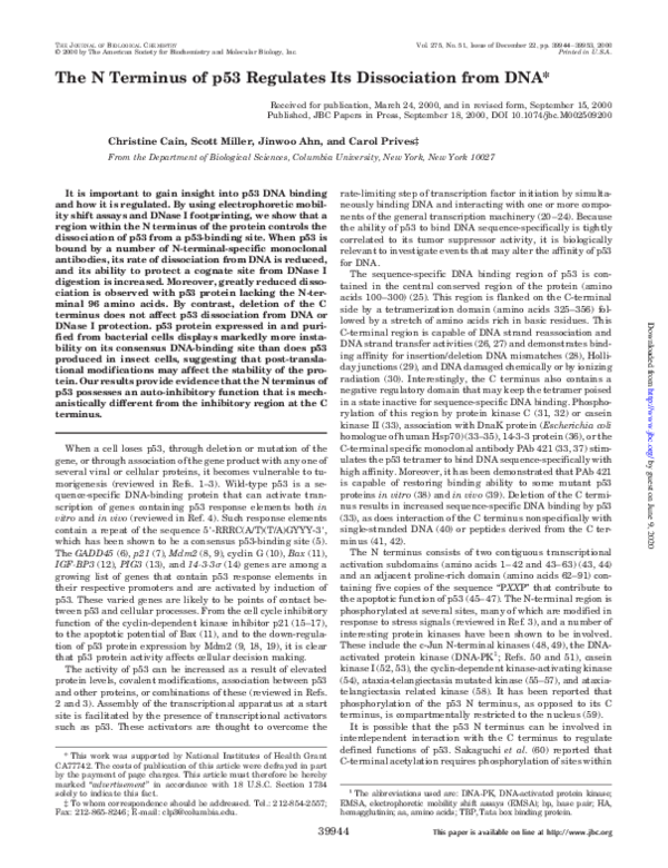 (PDF) The N Terminus of p53 Regulates Its Dissociation from DNA