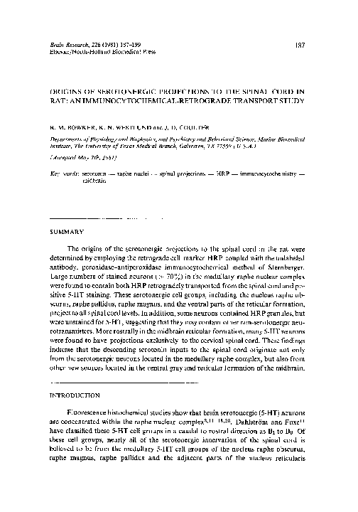 (PDF) Origins of serotonergic projections to the spinal cord in rat: An ...