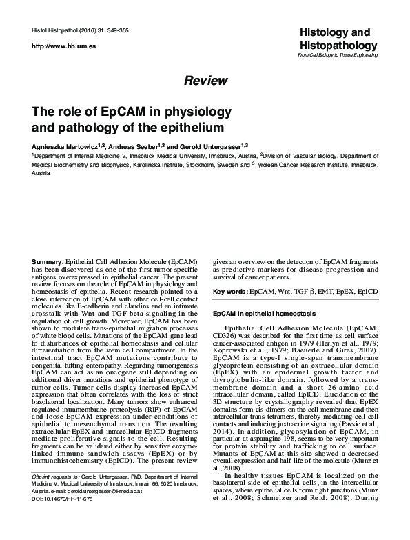 (PDF) The Role of EpCAM in physiology and pathology of the epithelium