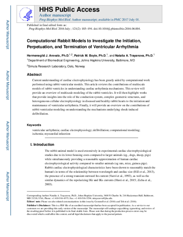 (PDF) Computational rabbit models to investigate the initiation ...