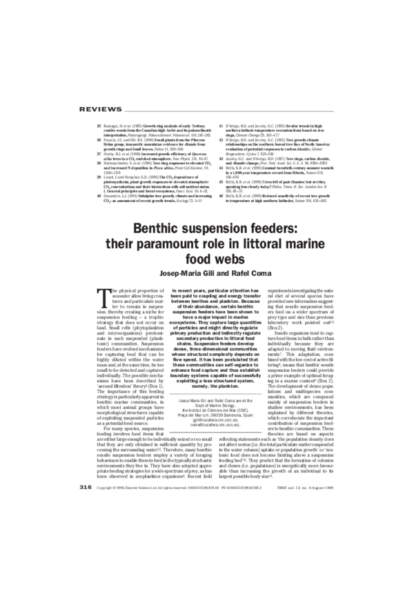 (PDF) Benthic suspension feeders their paramount role in littoral