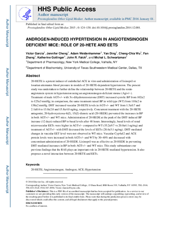 (PDF) Androgen-induced hypertension in angiotensinogen deficient mice ...