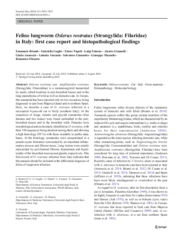 (PDF) Feline lungworm Oslerus rostratus (Strongylida: Filaridae) in ...