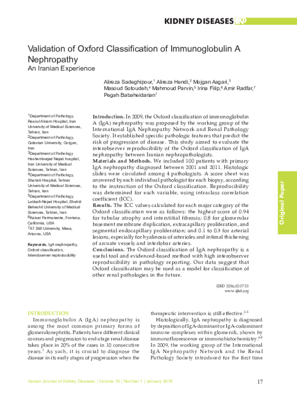 (PDF) Validation of Oxford Classification of Immunoglobulin A ...