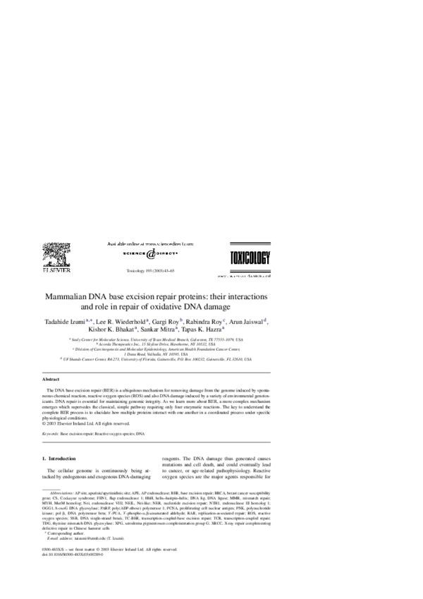 (PDF) Mammalian DNA base excision repair proteins: their interactions ...