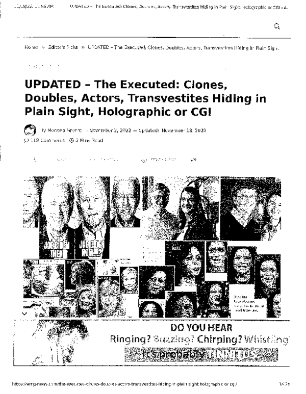 (PDF) A 126 - Page Report by Medeea Greere(American Media Group ...