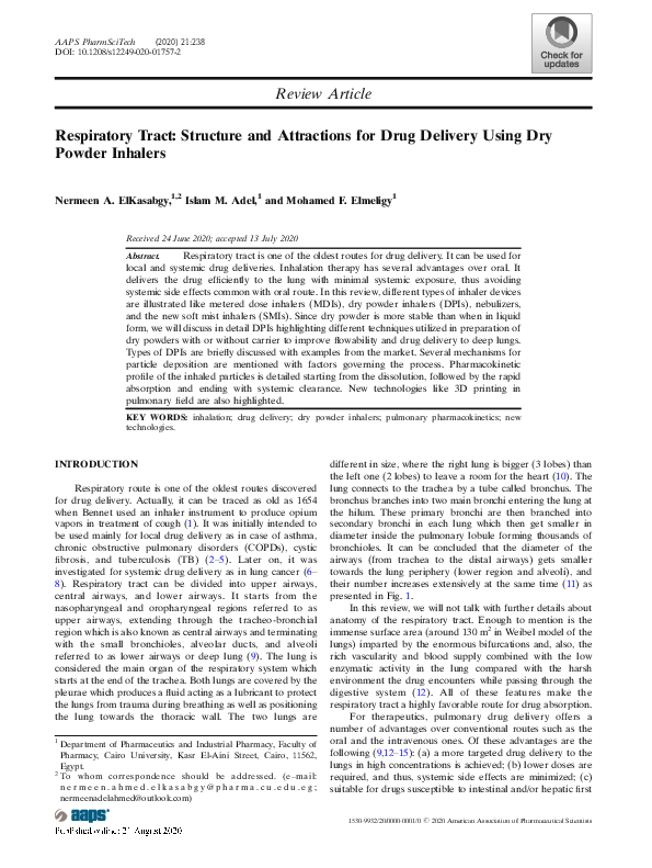 (PDF) Respiratory Tract: Structure and Attractions for Drug Delivery ...