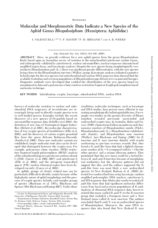 (PDF) Molecular and Morphometric Data Indicate a New Species of the ...