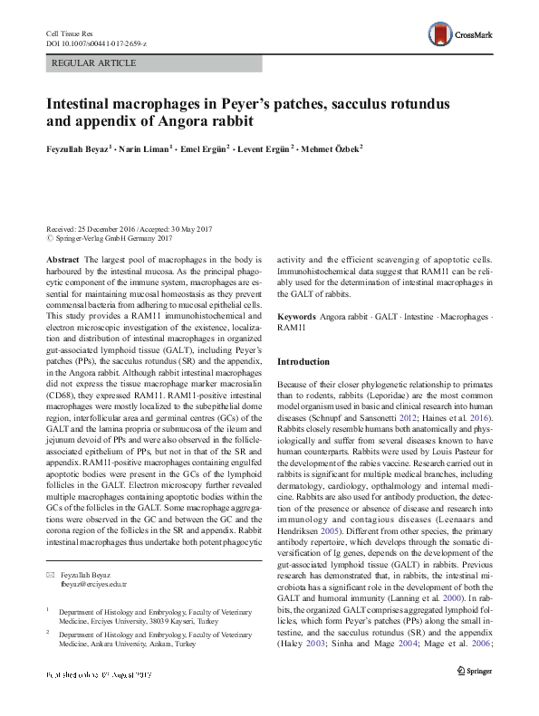 (PDF) Intestinal macrophages in Peyer’s patches, sacculus rotundus and ...
