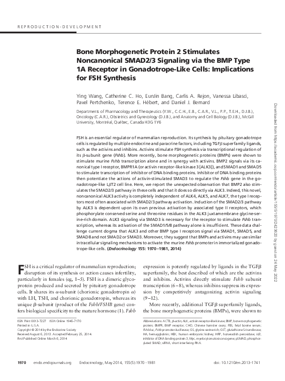 (PDF) Bone Morphogenetic Protein 2 Stimulates Noncanonical SMAD2/3 ...