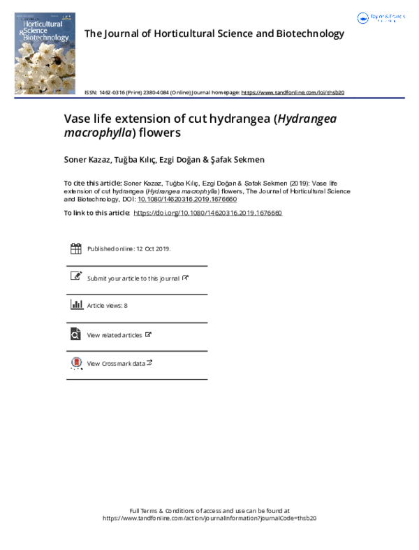 (PDF) Vase life extension of cut hydrangea (Hydrangea macrophylla