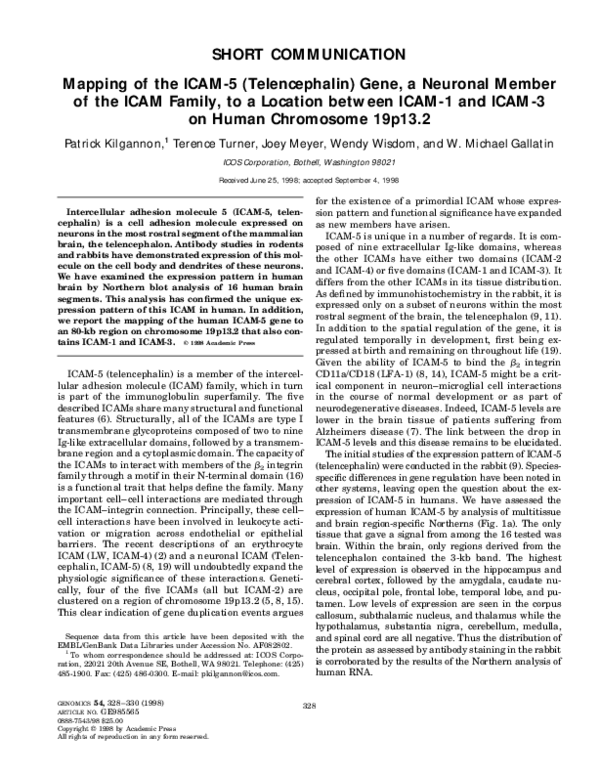 (PDF) Mapping of the ICAM-5 (Telencephalin) Gene, a Neuronal Member of ...