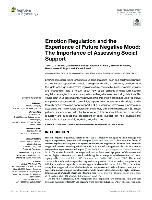 (PDF) Emotion Regulation and the Experience of Future Negative Mood ...