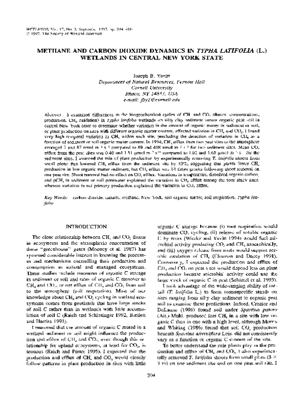 (PDF) Methane and carbon dioxide dynamics inTypha Latifolia (L ...