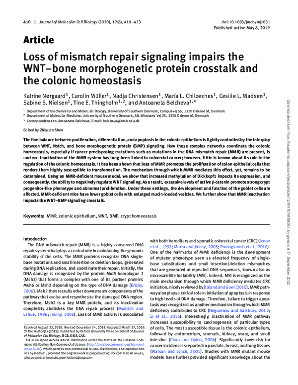 (PDF) Loss of mismatch repair signaling impairs the WNT–bone ...