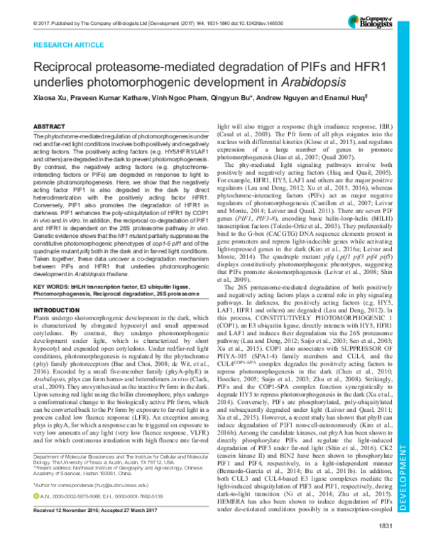 (PDF) Reciprocal proteasome-mediated degradation of PIFs and HFR1 ...