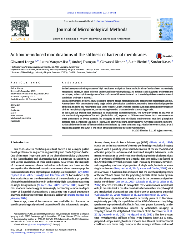 (PDF) Antibiotic-induced modifications of the stiffness of bacterial ...