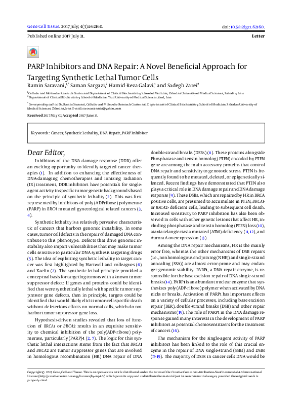 (PDF) PARP Inhibitors and DNA Repair: A Novel Beneficial Approach for ...
