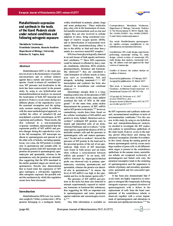 (PDF) Metallothionein expression and synthesis in the testis of the ...