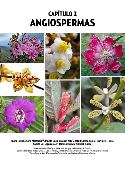 (PDF) Angiospermas