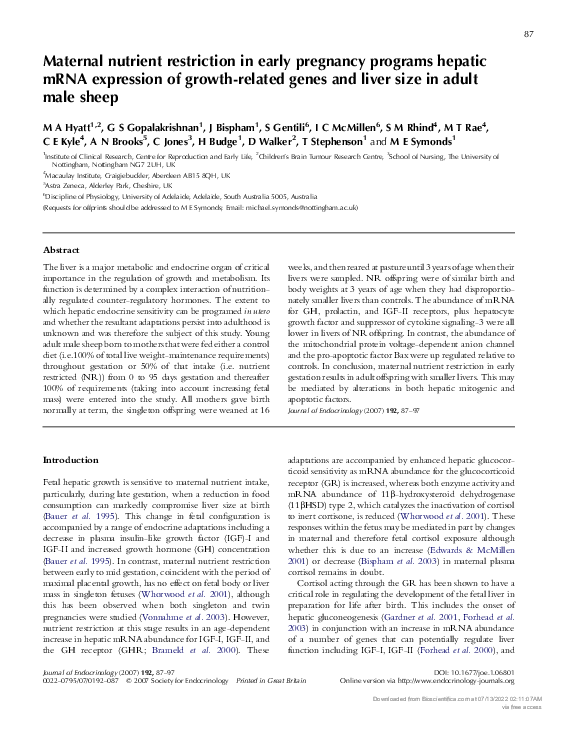 (PDF) Maternal nutrient restriction in early pregnancy programs hepatic ...