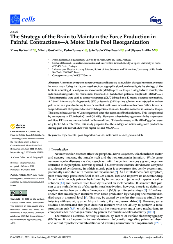 (PDF) The Strategy of the Brain to Maintain the Force Production in ...