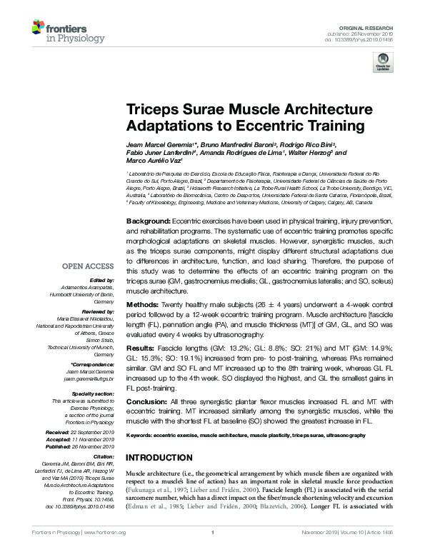 (PDF) Triceps Surae Muscle Architecture Adaptations to Eccentric Training