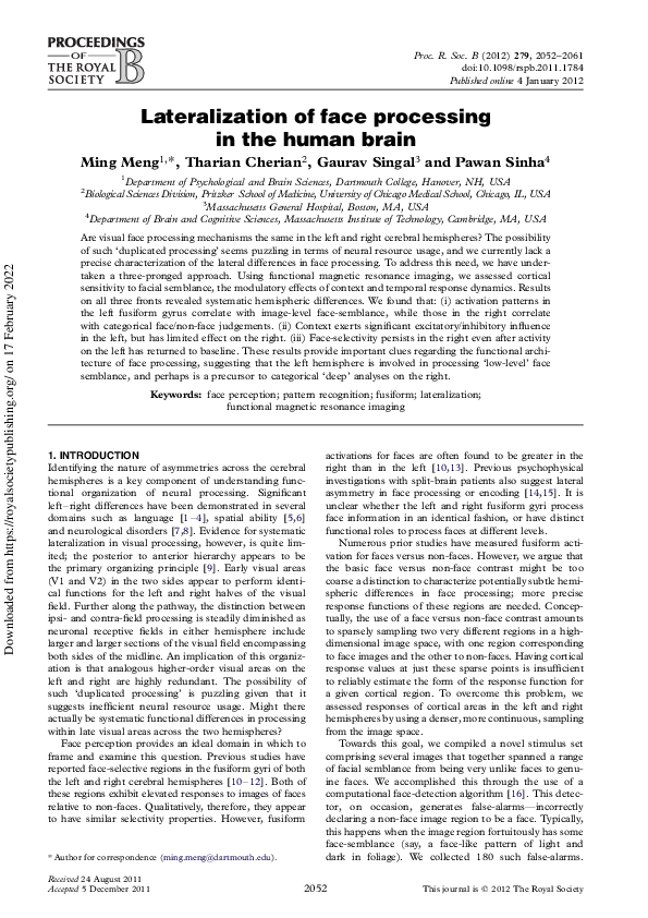 (PDF) Lateralization of face processing in the human brain