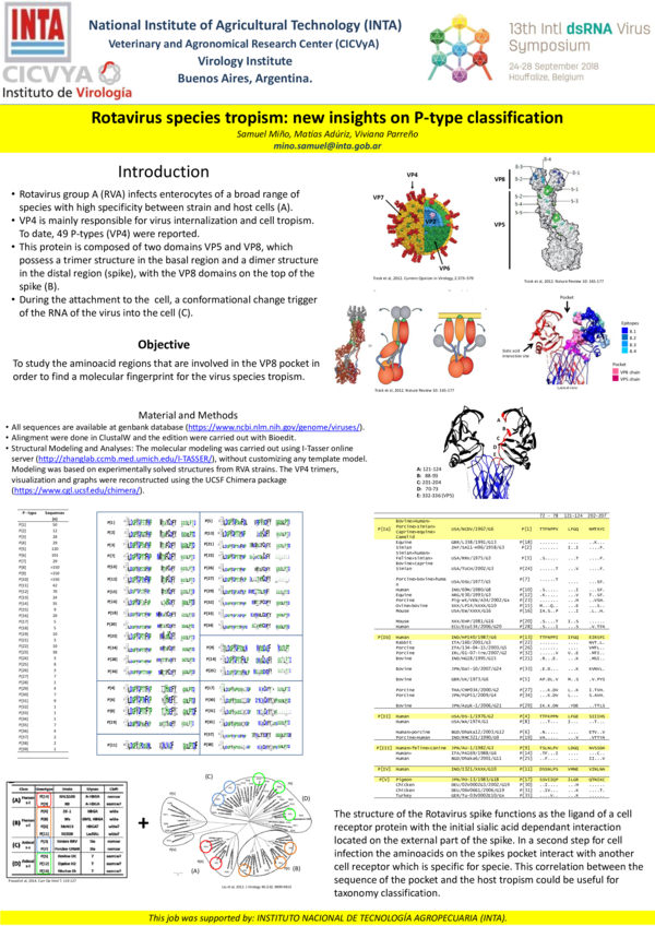 (PDF) Rotavirus species tropism: new insights on P-type classification