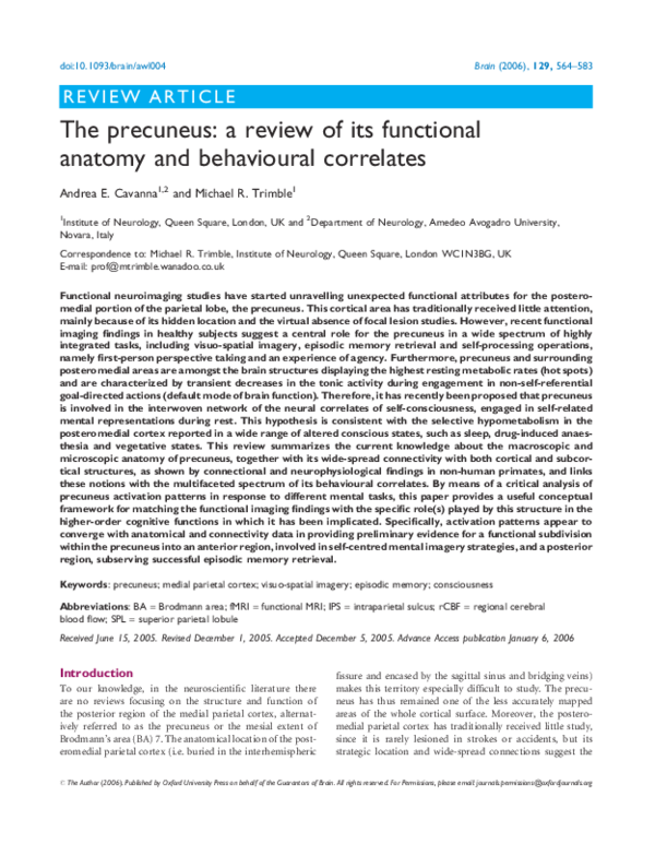 (PDF) The precuneus: a review of its functional anatomy and behavioural ...