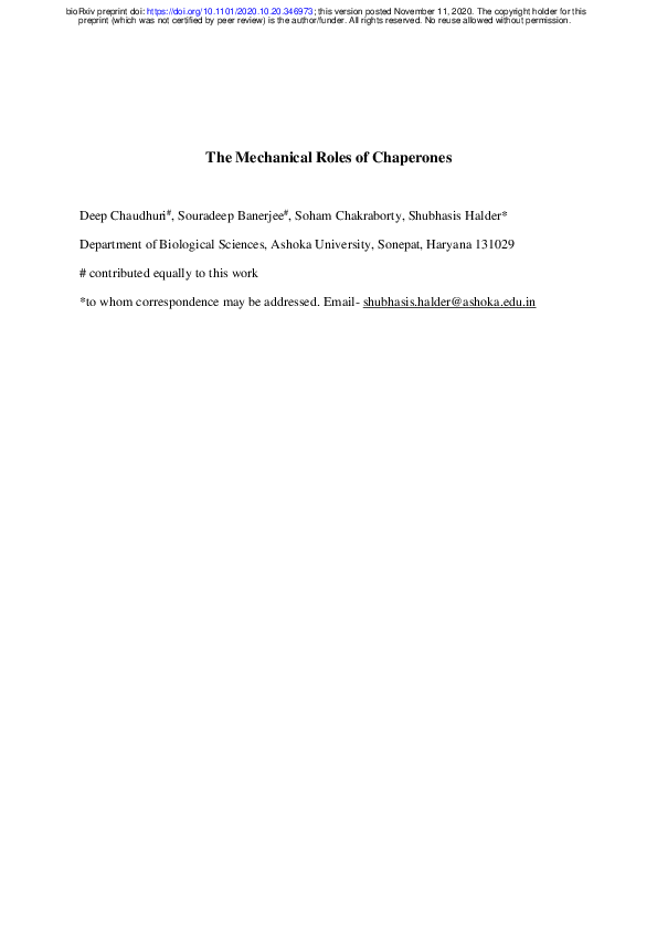 (PDF) Direct observation of the mechanical role of bacterial chaperones in protein folding