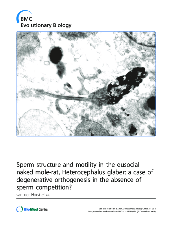 (PDF) Sperm structure and motility in the eusocial naked mole-rat ...