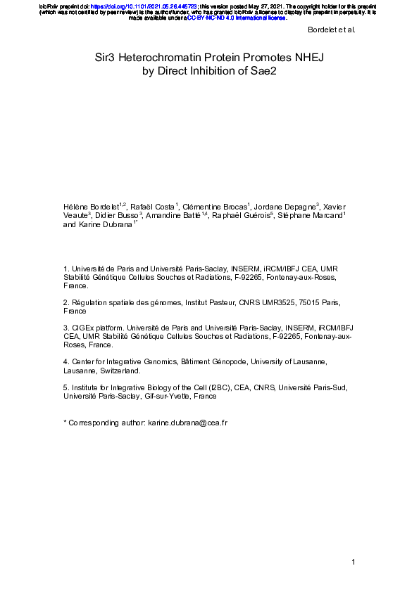 (PDF) Sir3 Heterochromatin Protein Promotes NHEJ by Direct Inhibition ...