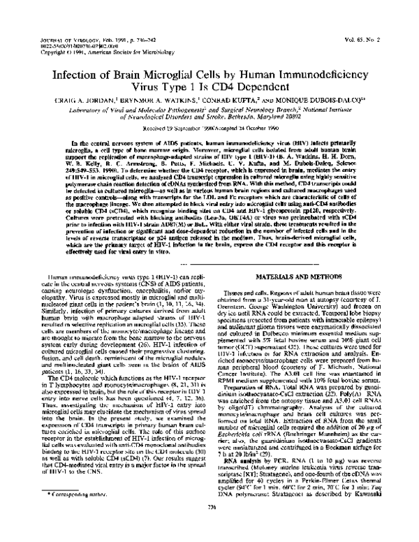 (PDF) Infection of brain microglial cells by human immunodeficiency ...
