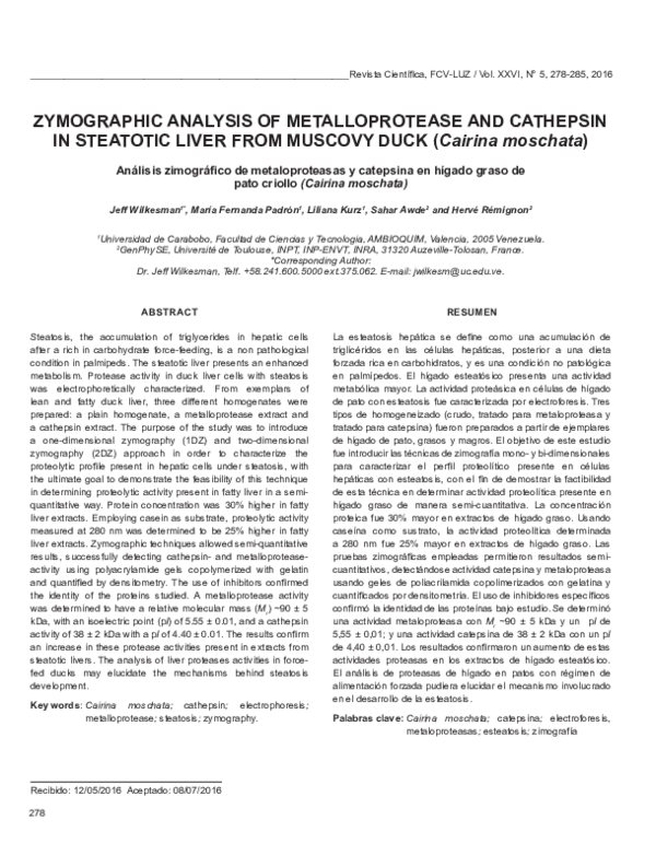 (PDF) Zymographic analysis of metalloprotease and cathepsin in ...