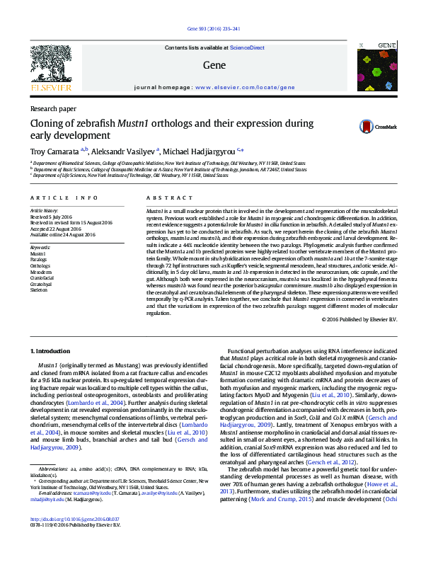 (PDF) Cloning of zebrafish Mustn1 orthologs and their expression during ...