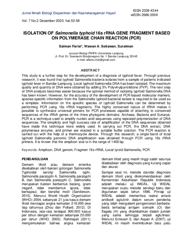 (PDF) ISOLATION OF Salmonella typhoid 16s rRNA GENE FRAGMENT BASED ON ...