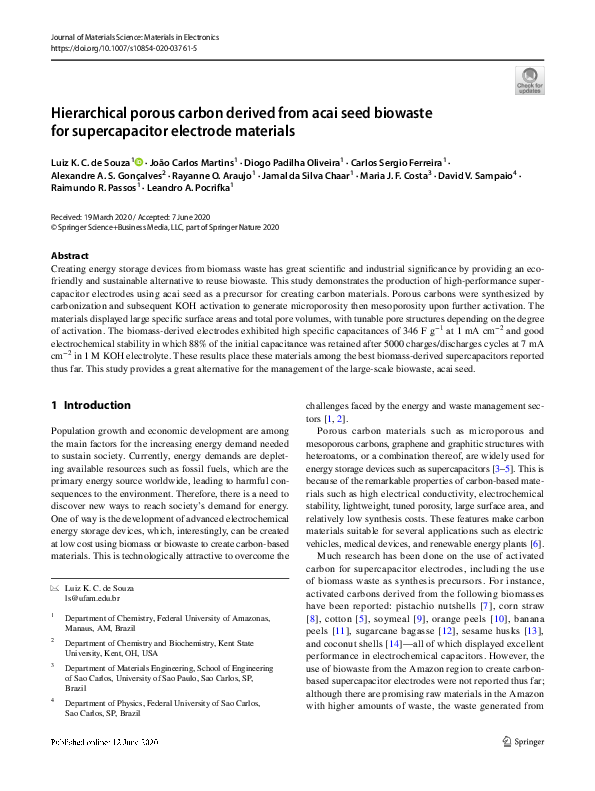 (PDF) Hierarchical porous carbon derived from acai seed biowaste for ...