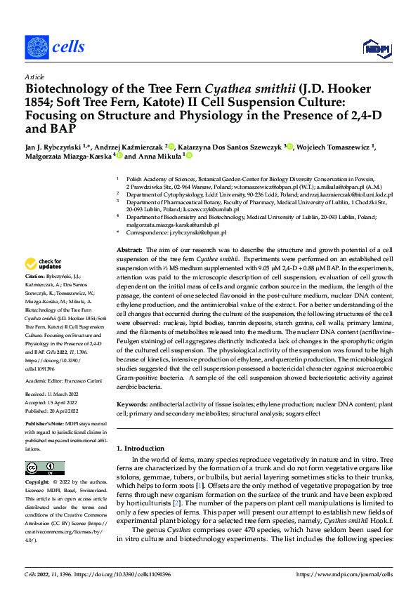 (PDF) Biotechnology of the Tree Fern Cyathea smithii (J.D. Hooker; Soft ...
