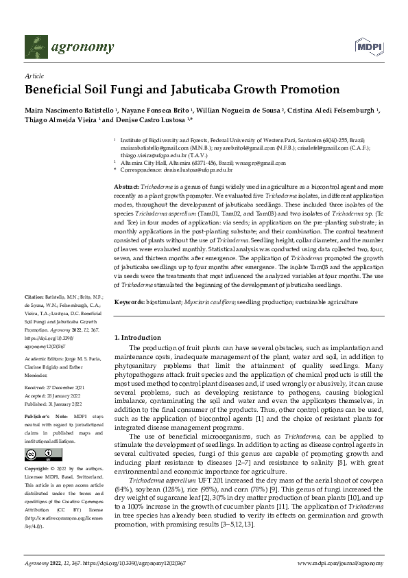 (PDF) Beneficial Soil Fungi and Jabuticaba Growth Promotion