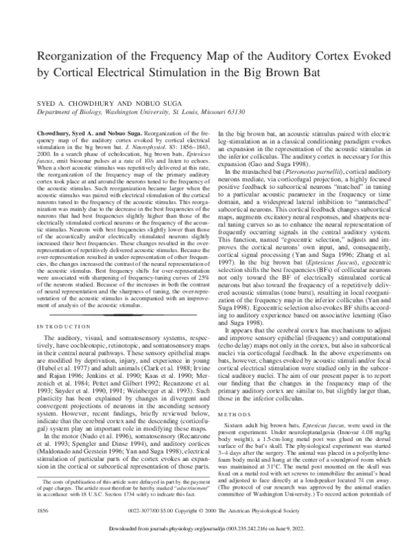 (PDF) Reorganization of the Frequency Map of the Auditory Cortex Evoked ...