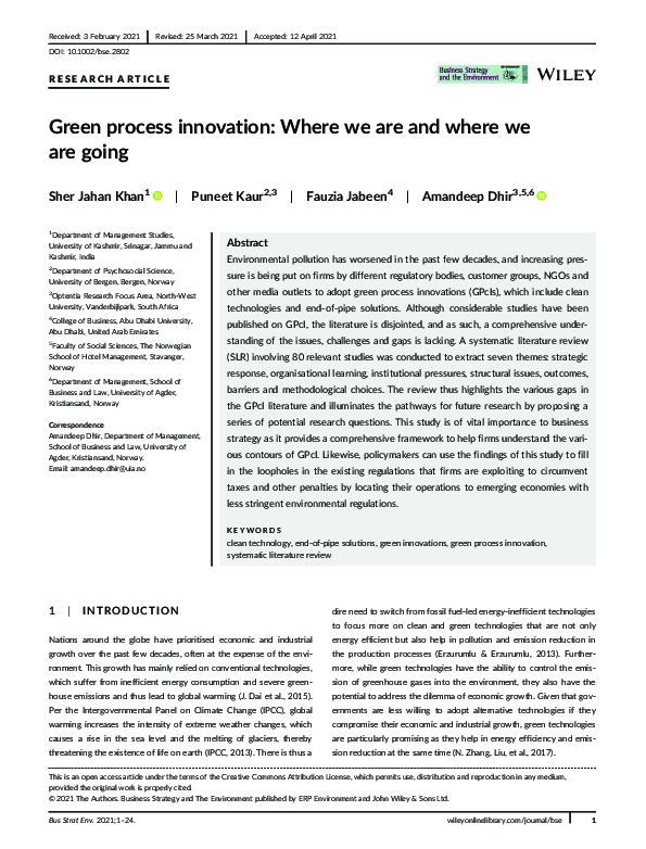 (PDF) Green process innovation: Where we are and where we are going