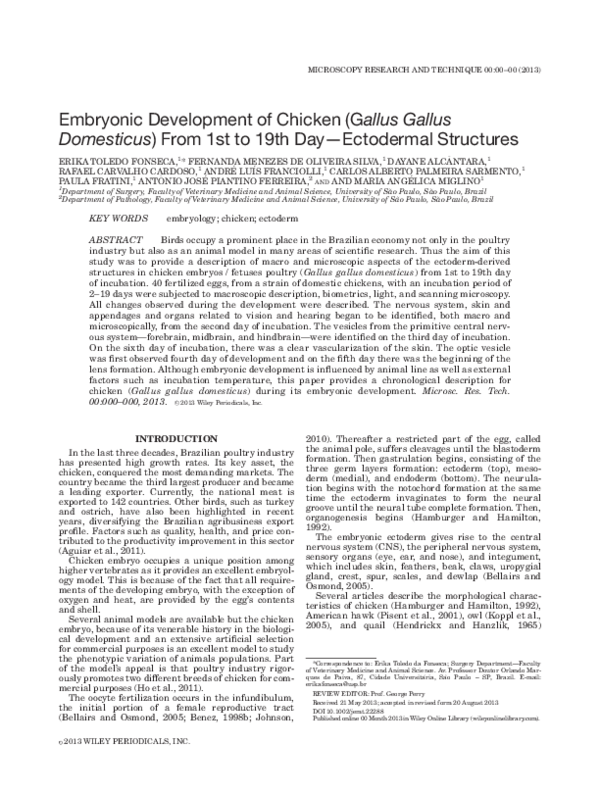 (PDF) Embryonic development of chicken (Gallus Gallus Domesticus) From ...