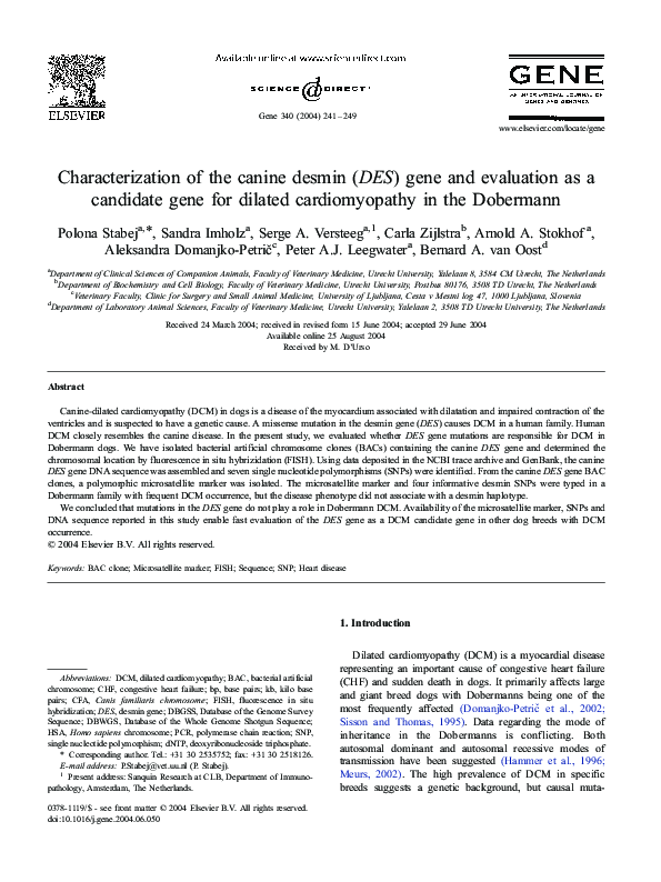 (PDF) Characterization of the canine desmin (DES) gene and evaluation ...