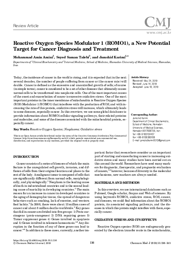 (PDF) Reactive Oxygen Species Modulator 1 (ROMO1), a New Potential ...