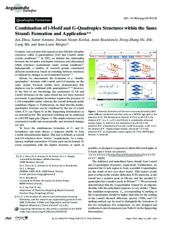 (PDF) Combination of i-Motif and G-Quadruplex Structures within the ...