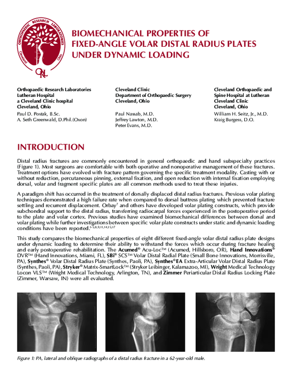 (PDF) Biomechanical Properties of Fixed-Angle Volar Distal Radius ...