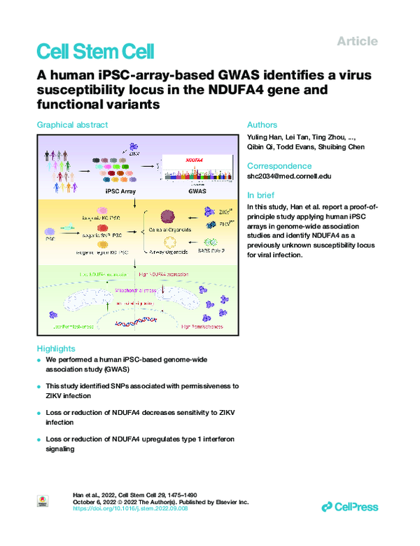(PDF) A human iPSC-array-based GWAS identifies a virus susceptibility ...