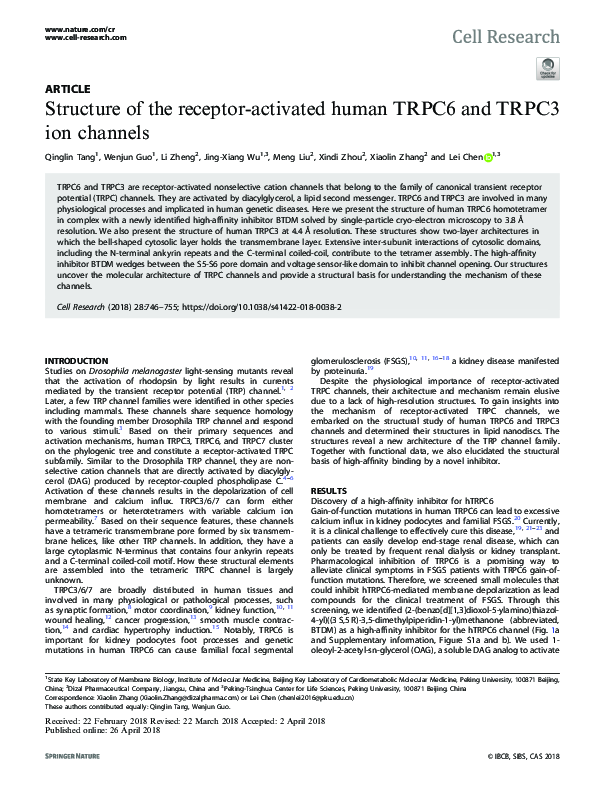(PDF) Structure of the receptor-activated human TRPC6 and TRPC3 ion ...